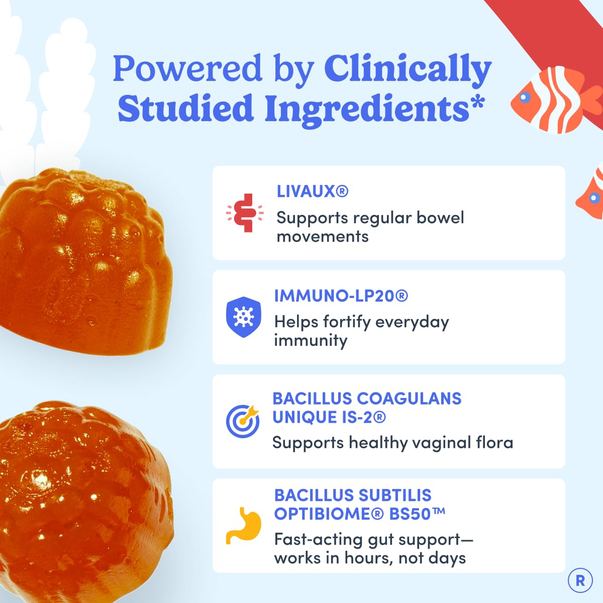 FIRST DAY 3-in-1 Probiotic Gummies – Prebiotic + Probiotic + Postbiotic Supplement – Supports Digestive & Oral Health, Immune Function & Energy Levels, 60 Gummies