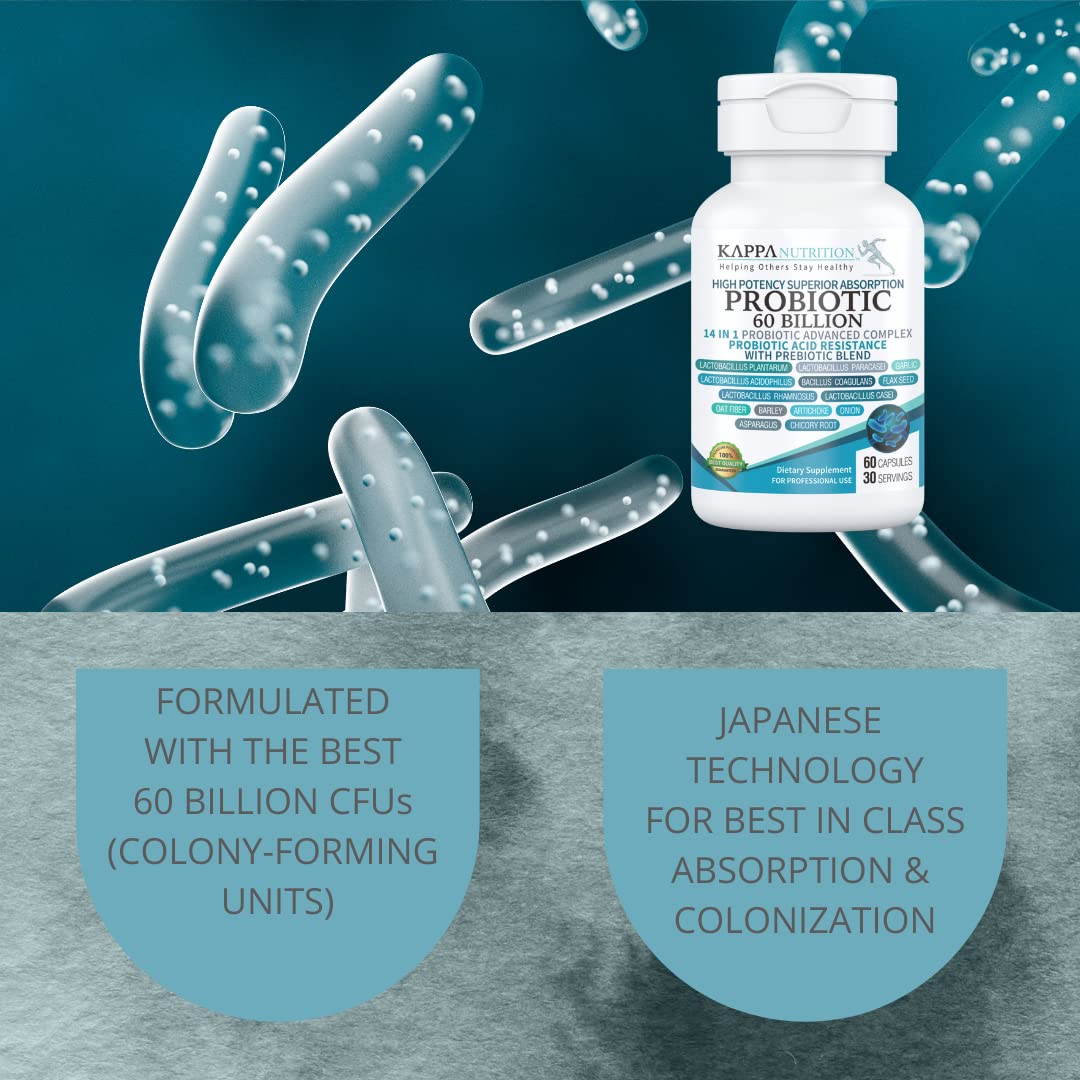 KAPPA NUTRITION Probiotic 60 Billion CFU 14-in-1 Formula with Prebiotics & Acidophilus, 60 Capsules