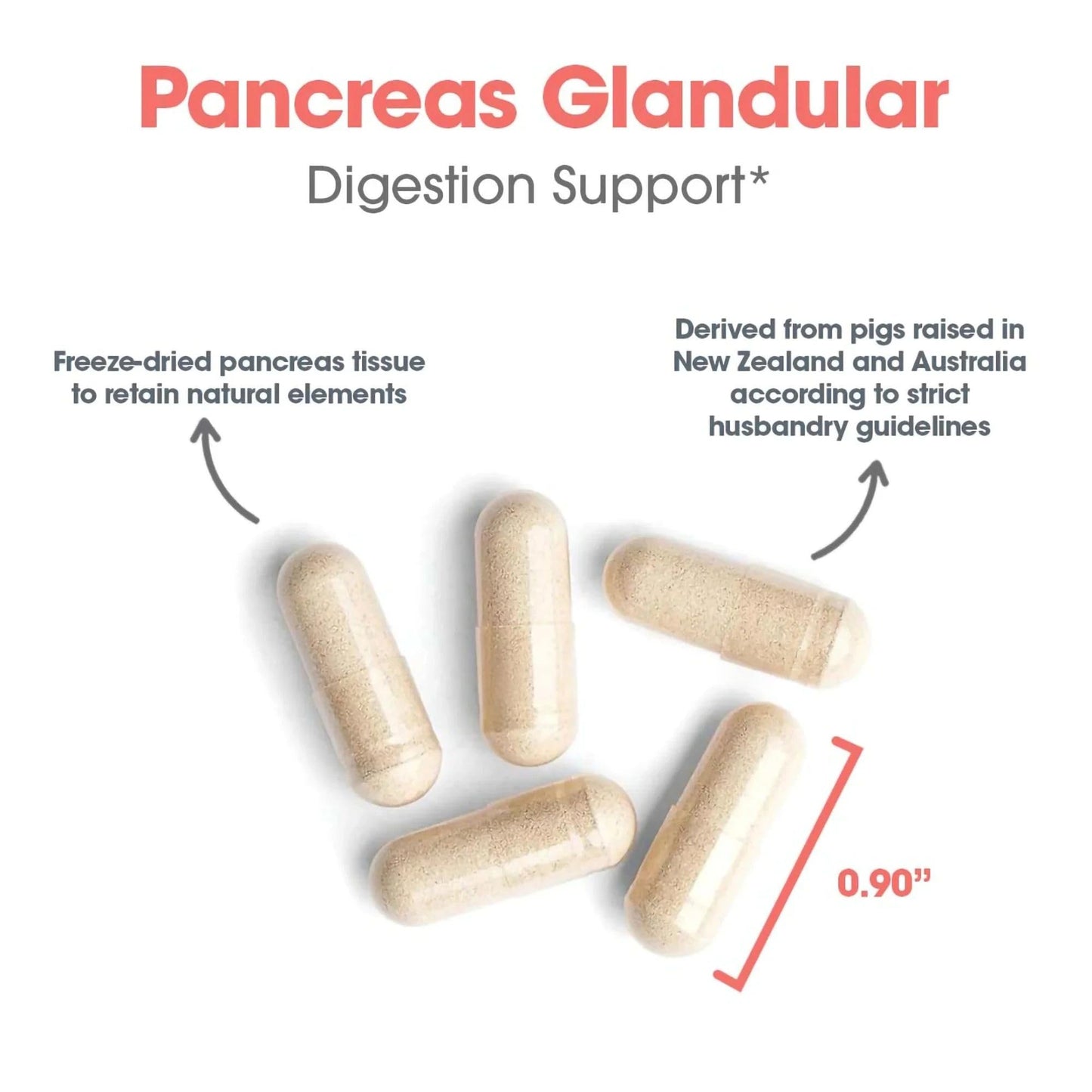 Allergy Research Group Pancreas Pork Freeze Dried Digestive Capsule 60