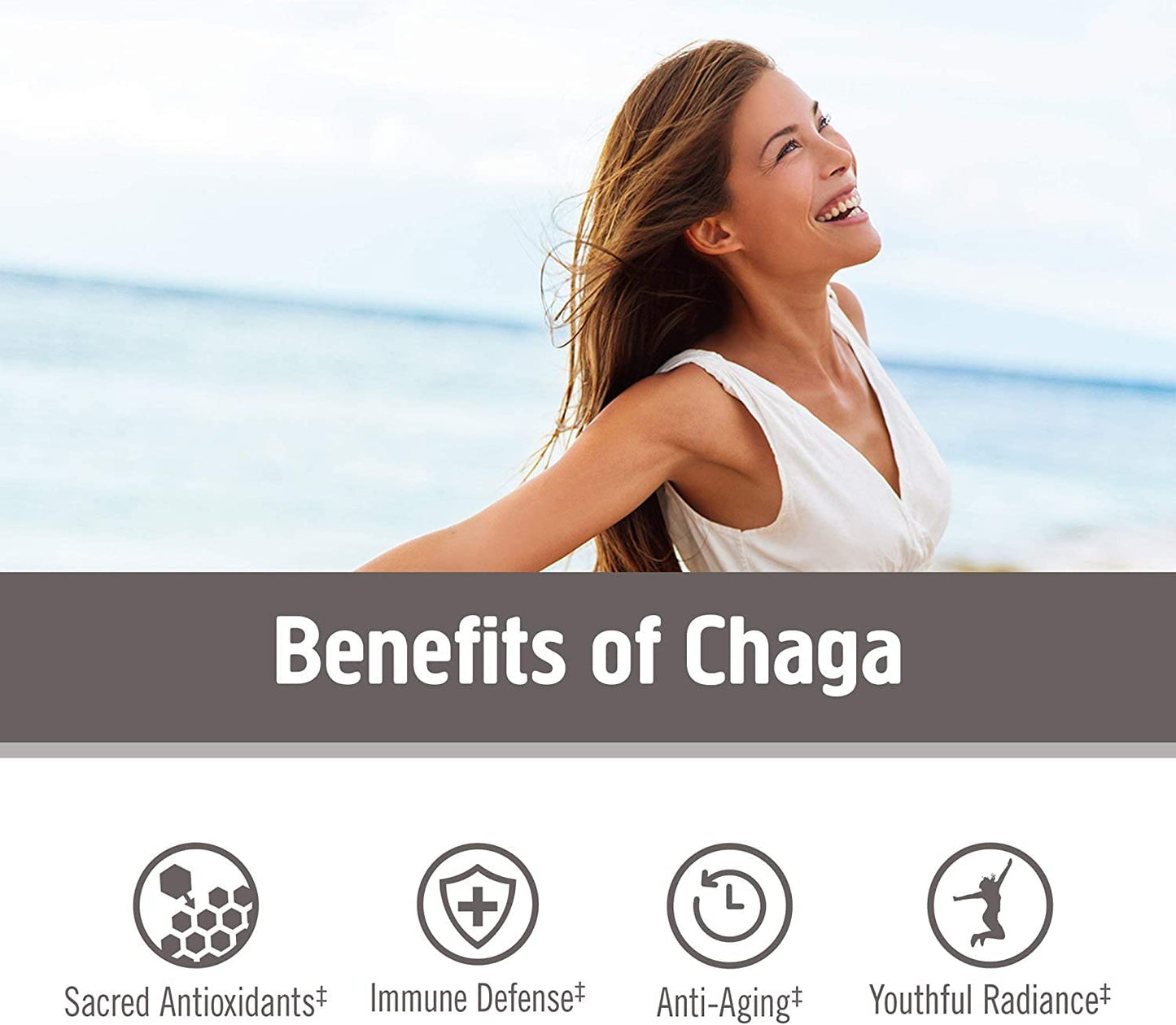 OM MUSHROOM SUPERFOOD Organic Chaga Mushroom Superfood Powder 2.12 Ounce