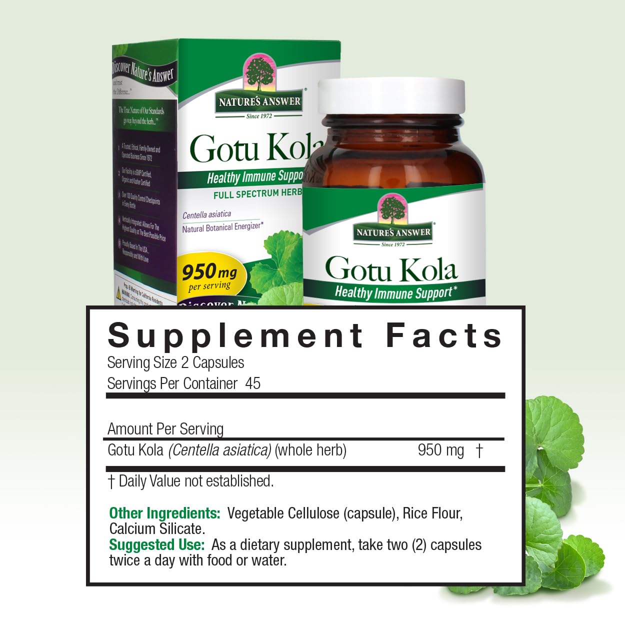 Nature's Answer Gotu-Kola Herb Vegetarian Capsules, 90 Count
