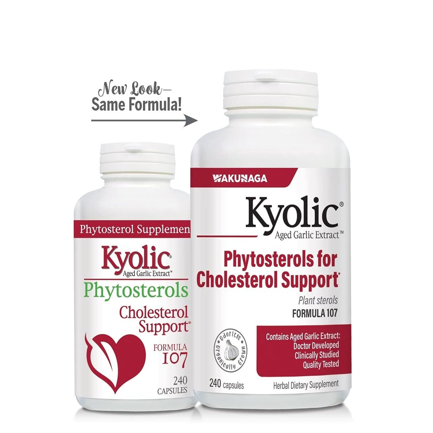 Kyolic Aged Garlic Extract Formula 107 Capsule, 240 Capsules