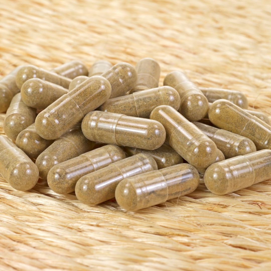 Earthborn Elements Amla Extract Capsules 200