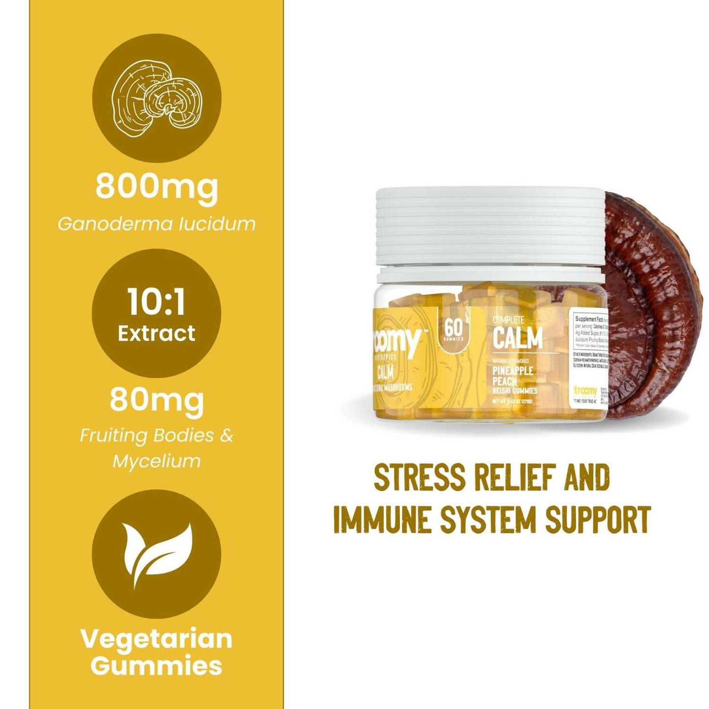 Troomy Nootropics Reishi Calm Gummies, 60 Count