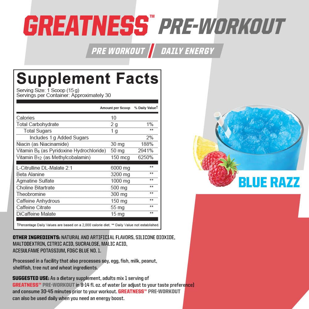 Undefined Nutrition Greatness Pre-Workout Powder 15.9 oz