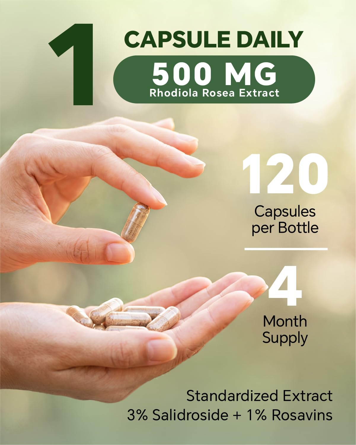 Blavenique Rhodiola Rosea Supplement 120 Capsules