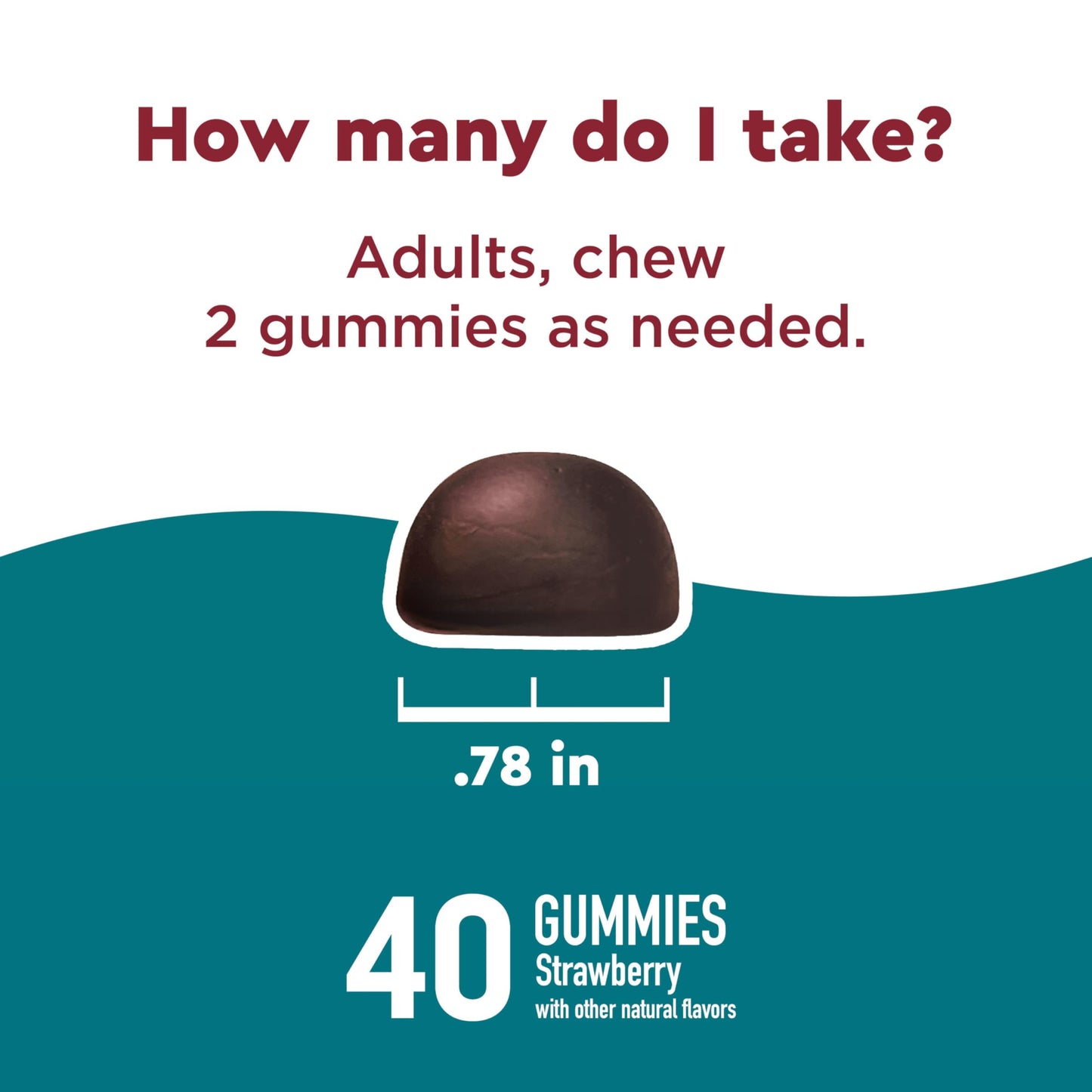 Nature Made Wellblends Stress Relief Gummies, 40-count