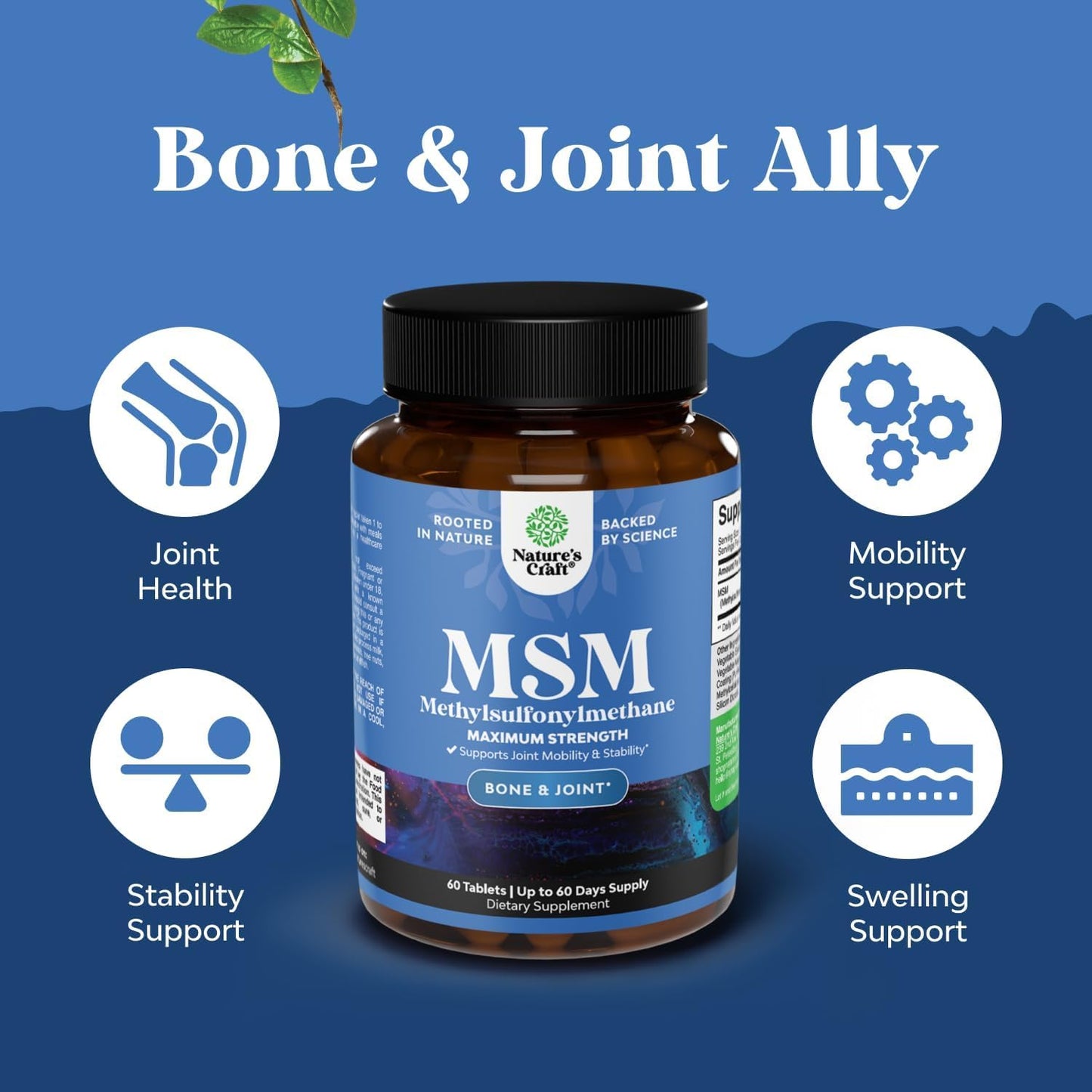 Natures Craft Pure MSM Supplement Tablets, 60 Count
