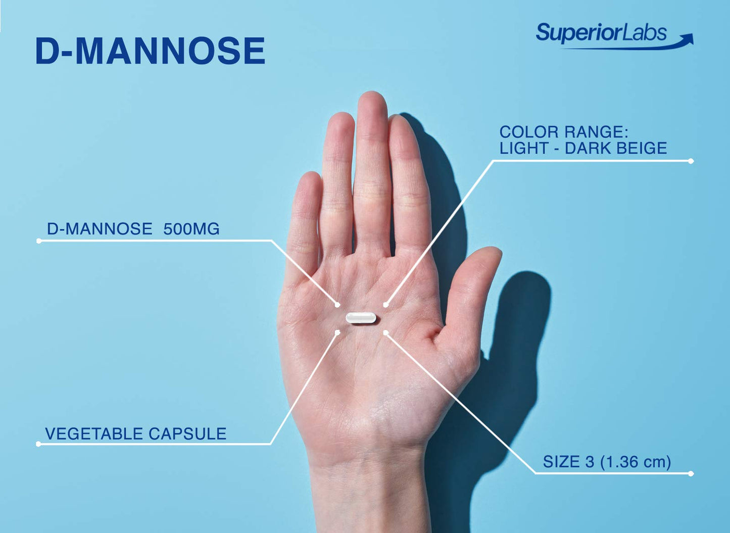 Superior Labs D-Mannose 500 mg 120 Veg Caps