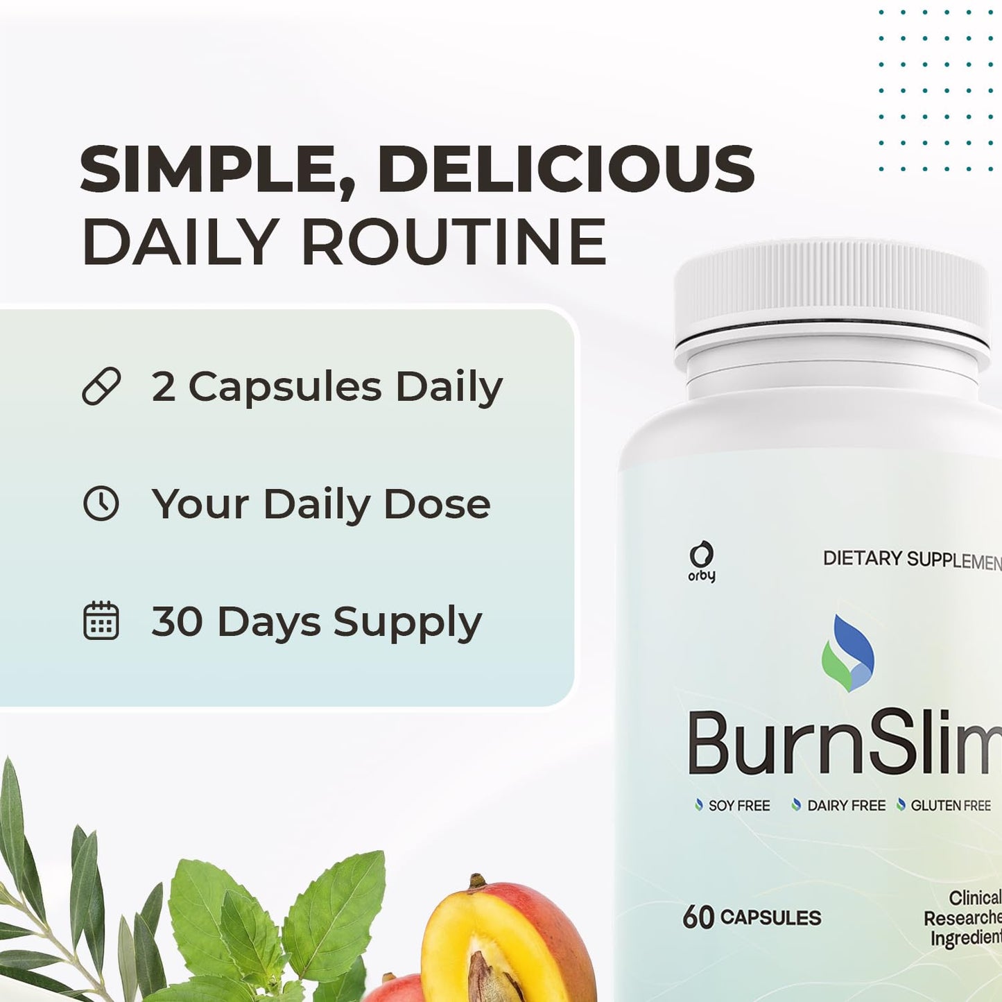 Orby BurnSlim Daily Botanical Supplement with Olive Leaf, Moringa & Holy Basil 360 Capsules