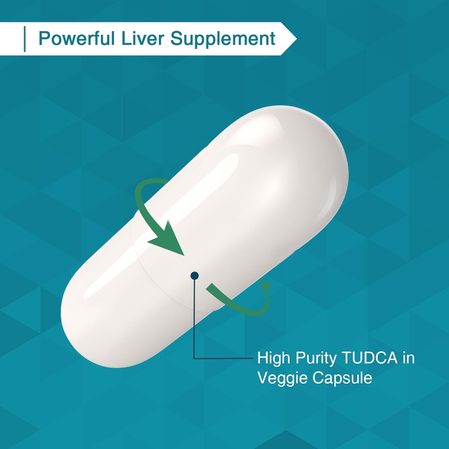 Zingicin TUDCA Supplement 1200mg Capsule 60 Count