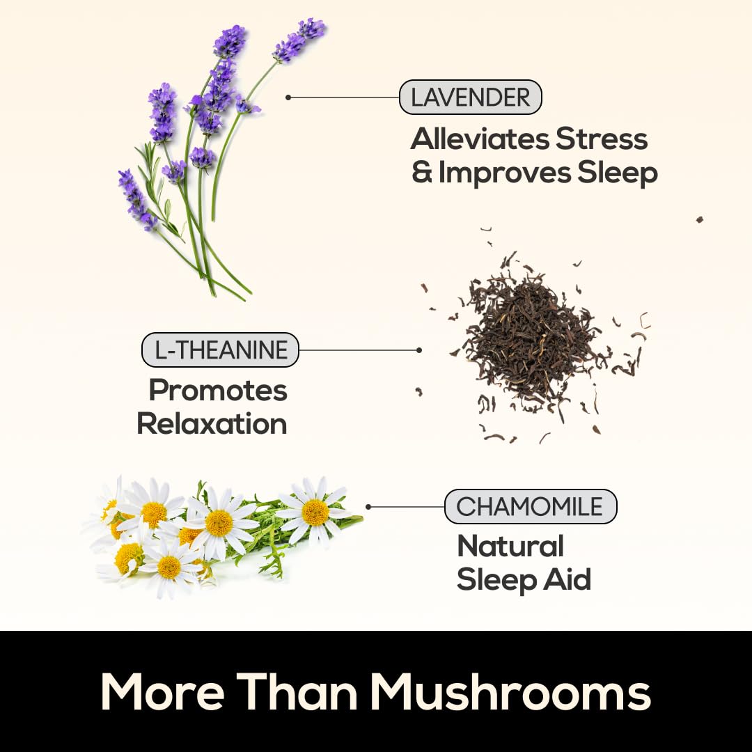 TrueMushroom Sleep Support Mushroom Gummy Supplement with Melatonin, Lion’s Mane, Cordyceps, Reishi, Shiitake, BlackBerry Flavor, 60 Gummies