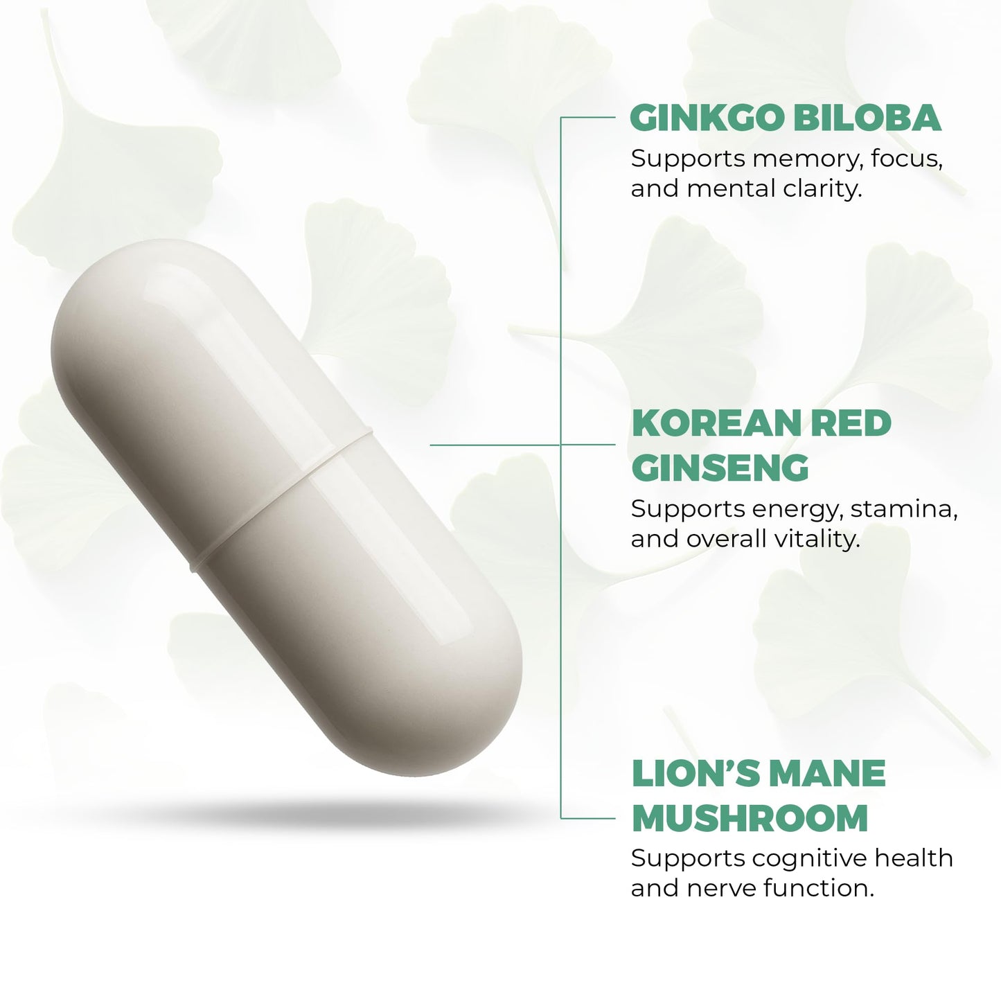 Nutra Florida Ginkgo Biloba with Korean Red Ginseng & Lion's Mane Mushroom Capsules, 60 Capsules
