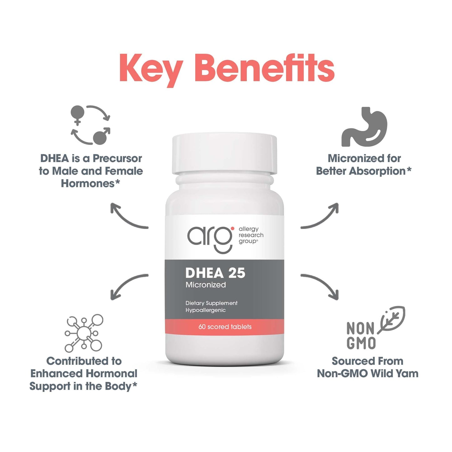 Allergy Research Group DHEA 25 Micronized Lipid Matrix Tablets 60