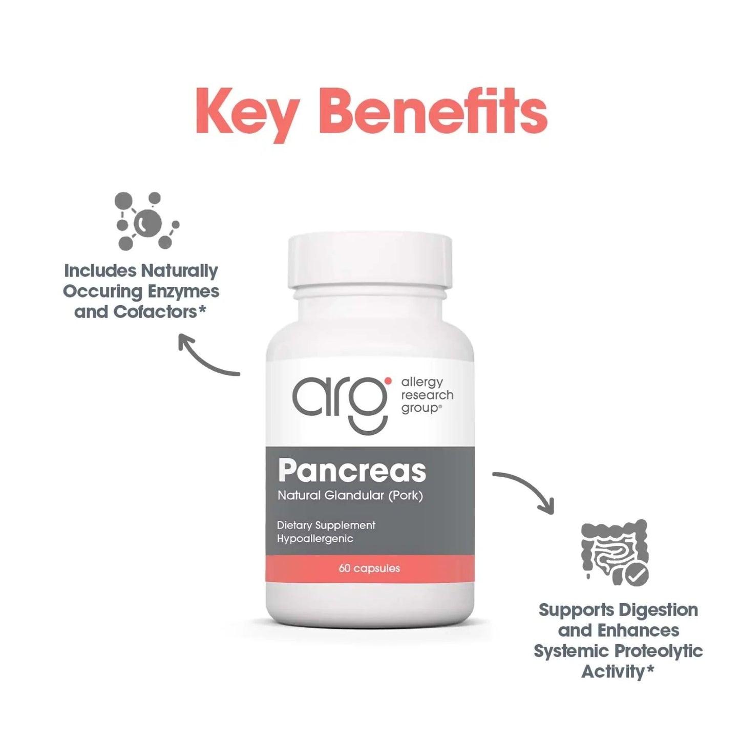 Allergy Research Group Pancreas Pork Freeze Dried Digestive Capsule 60