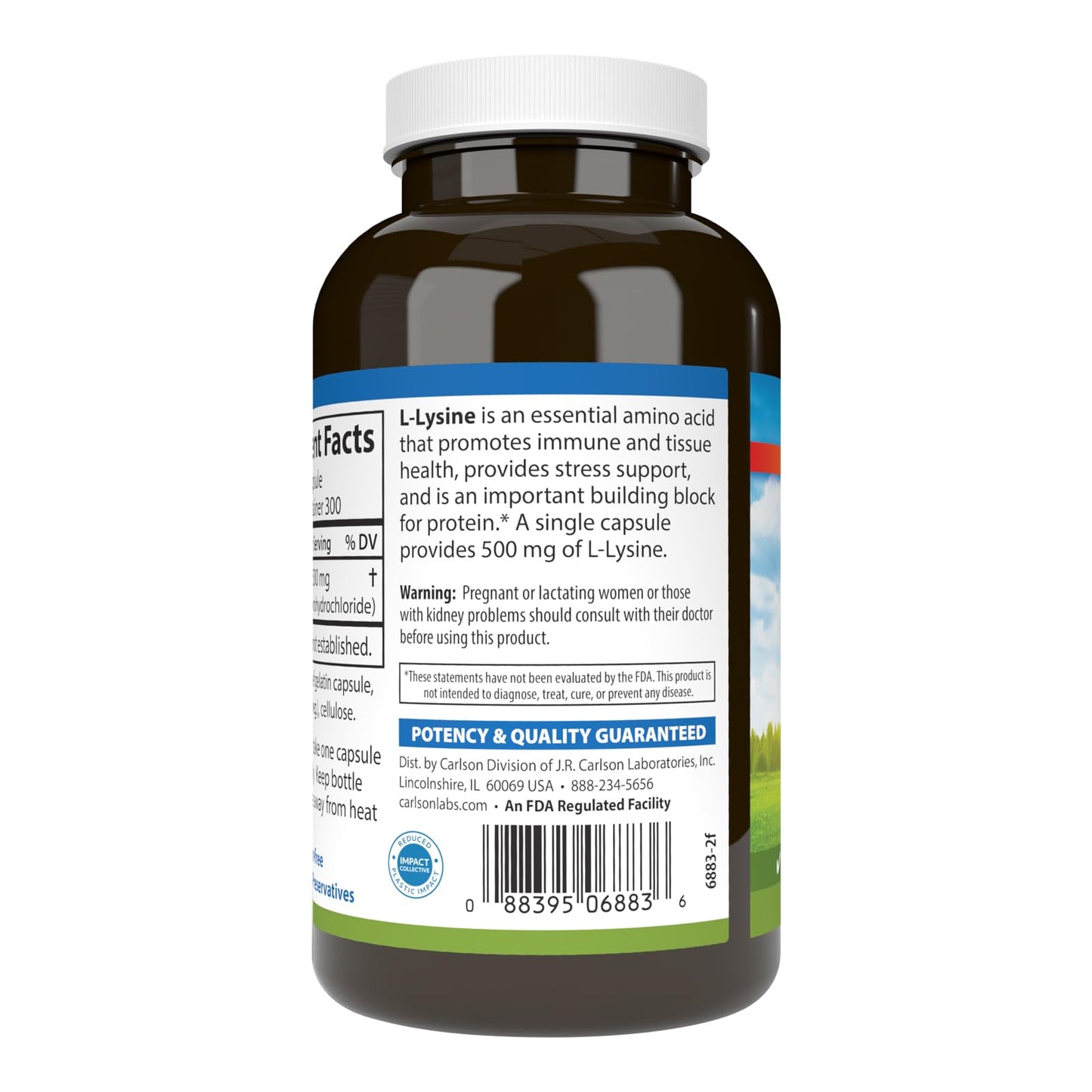Carlson L-Lysine 500 mg Capsules, 300 Capsules