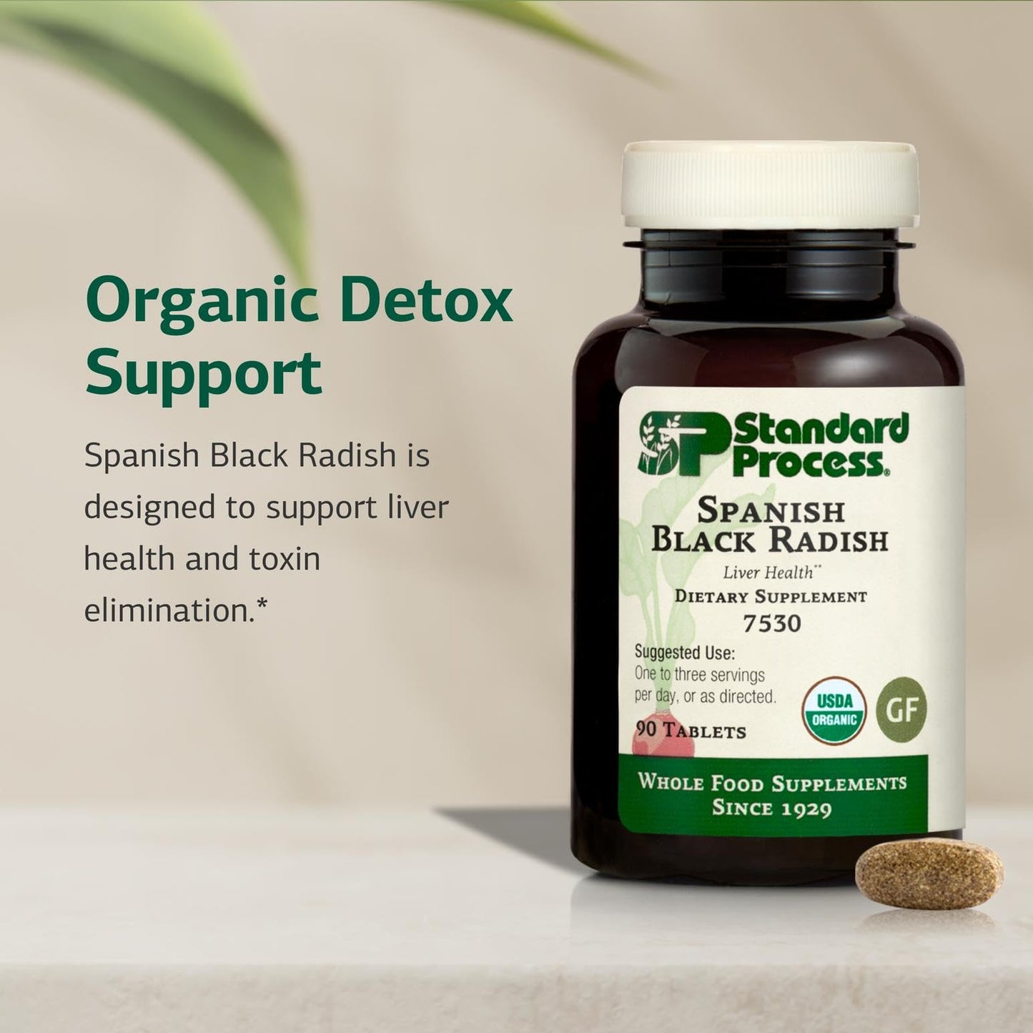 Standard Process Inc. Spanish Black Radish Liver Health Dietary Supplement Gallbladder Health & Digestion Cleanse Support Tablets, 90 Count