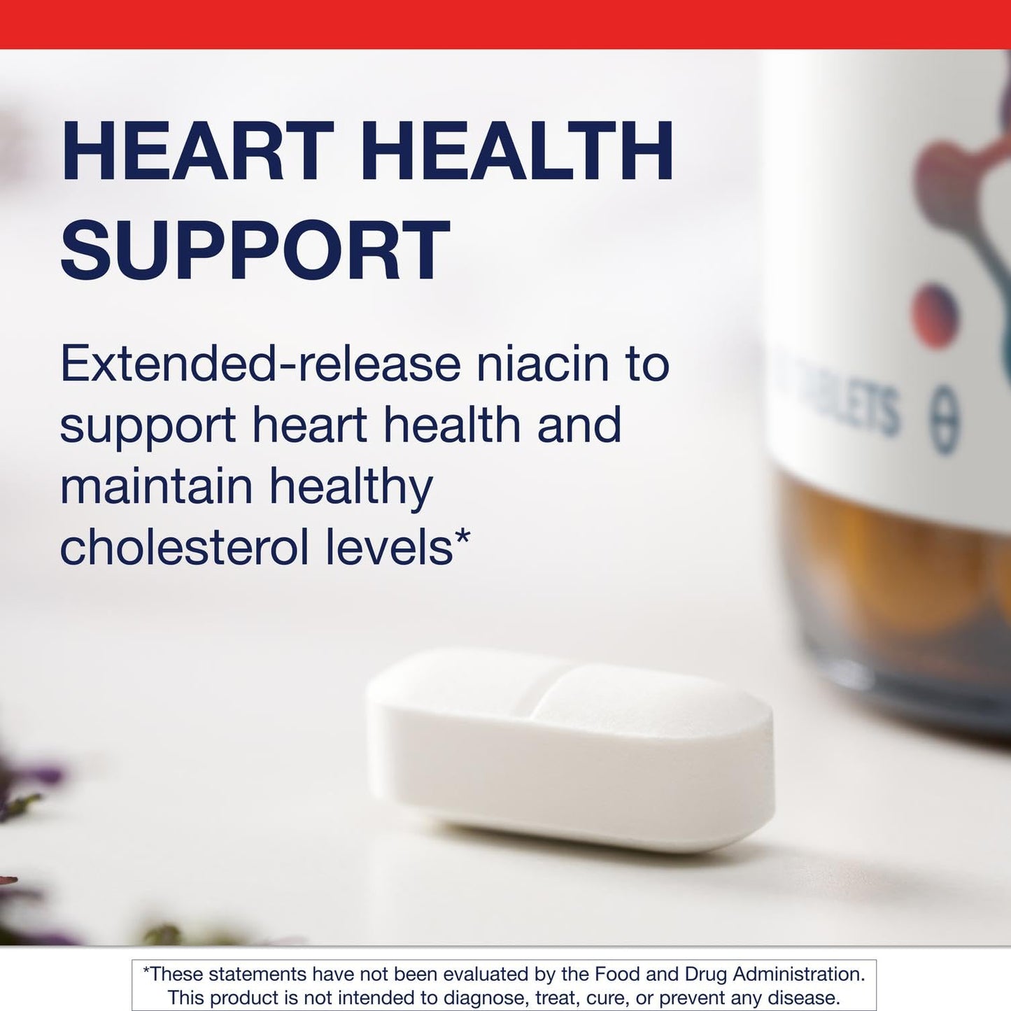 Metagenics Niatain Niacin B3-500 mg Nicotinic Acid with Sustained Release Tablet, 60 Tablets