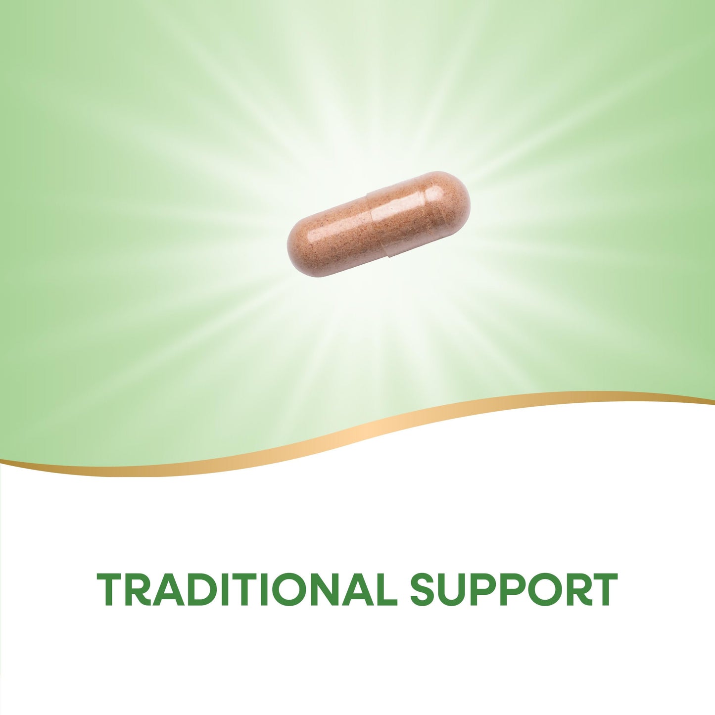 Nature's Way Red Yeast Rice Capsule 120 Count