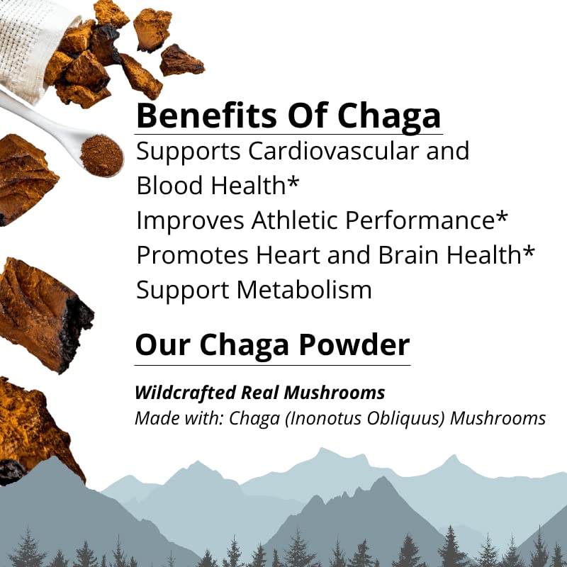 Lost Empire Herbs Chaga Mushroom Powder 8:1 Dual Extract from Real Mushrooms Not Mycelium, 1.0582 oz