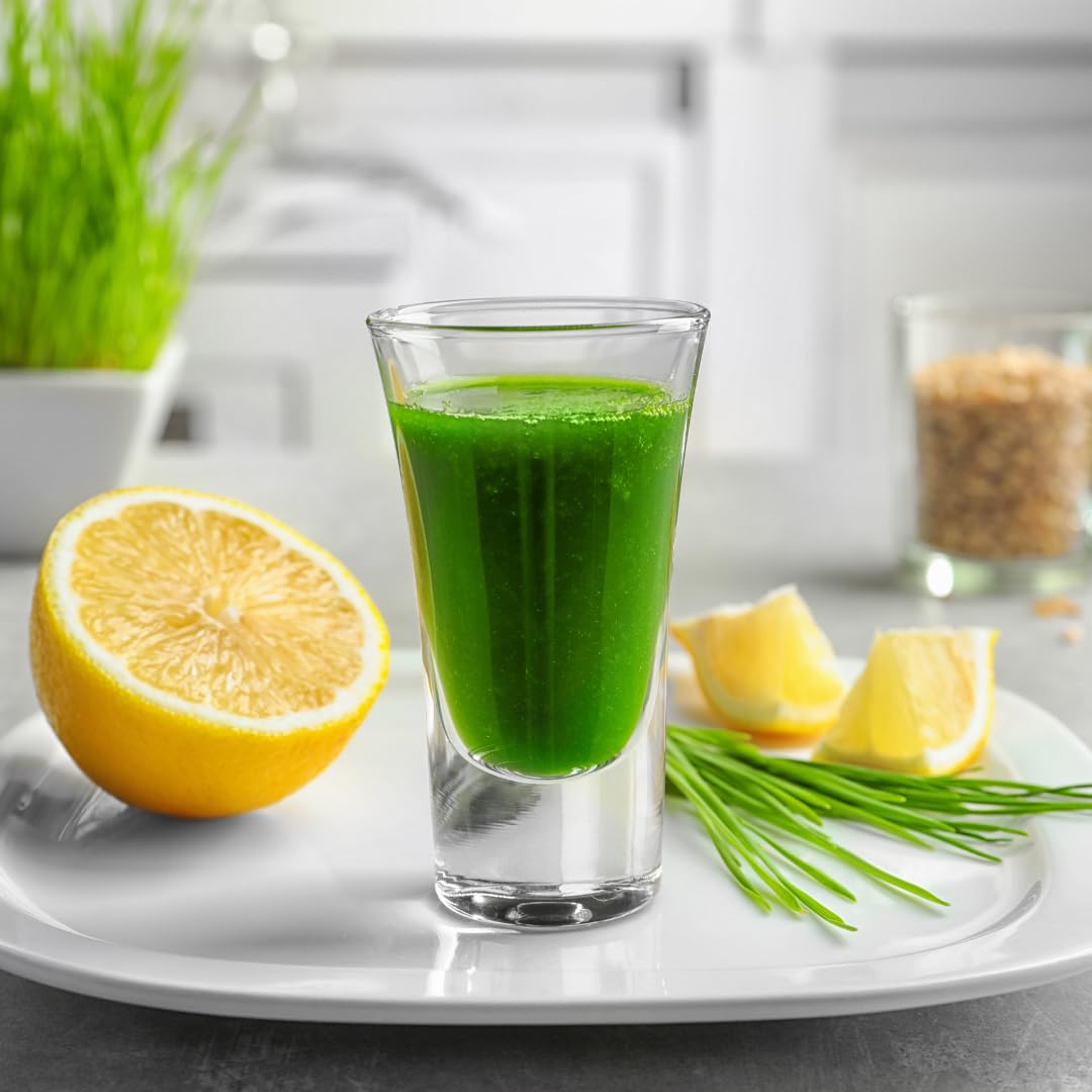 Jovvily Wheat Grass Powder 8 oz