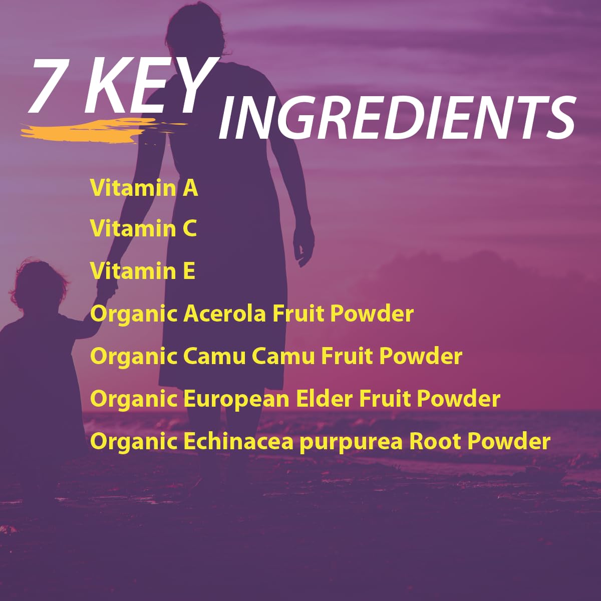 Elderberry Queen Vitamin C 500mg Tablet, Immune Boost & Antioxidant Support, 60 Count