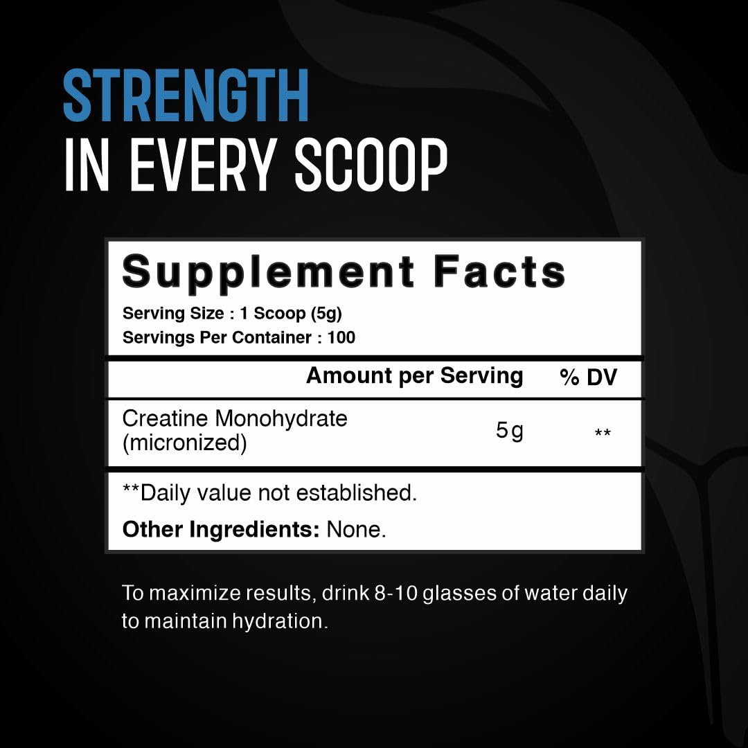 Bolt Nutrition Micronized Creatine Monohydrate Powder 17.6 oz