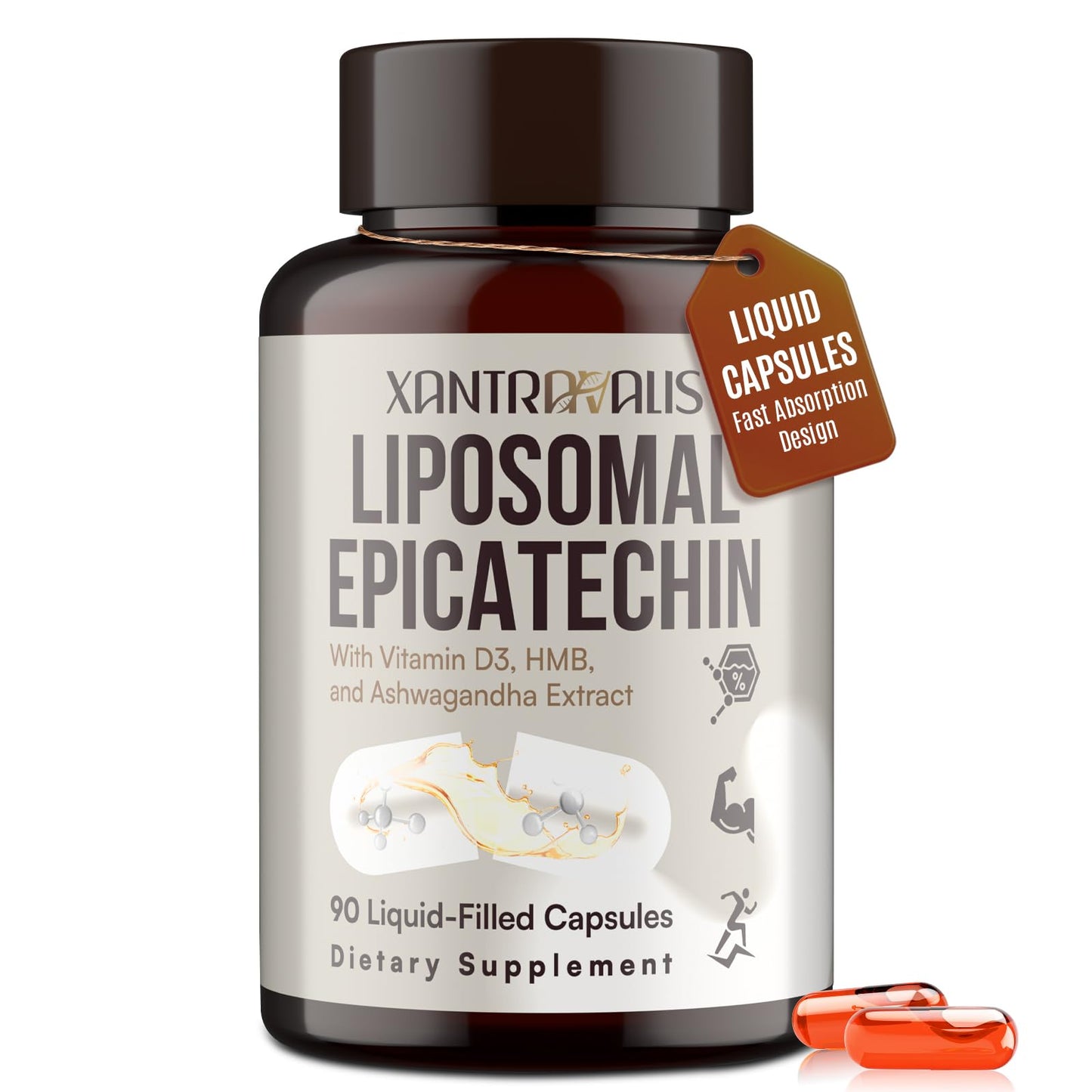 Xantravalis Liposomal Epicatechin Supplement 1200mg - Advanced Formula with Vitamin D3, HMB & Ashwagandha, 90 Capsules