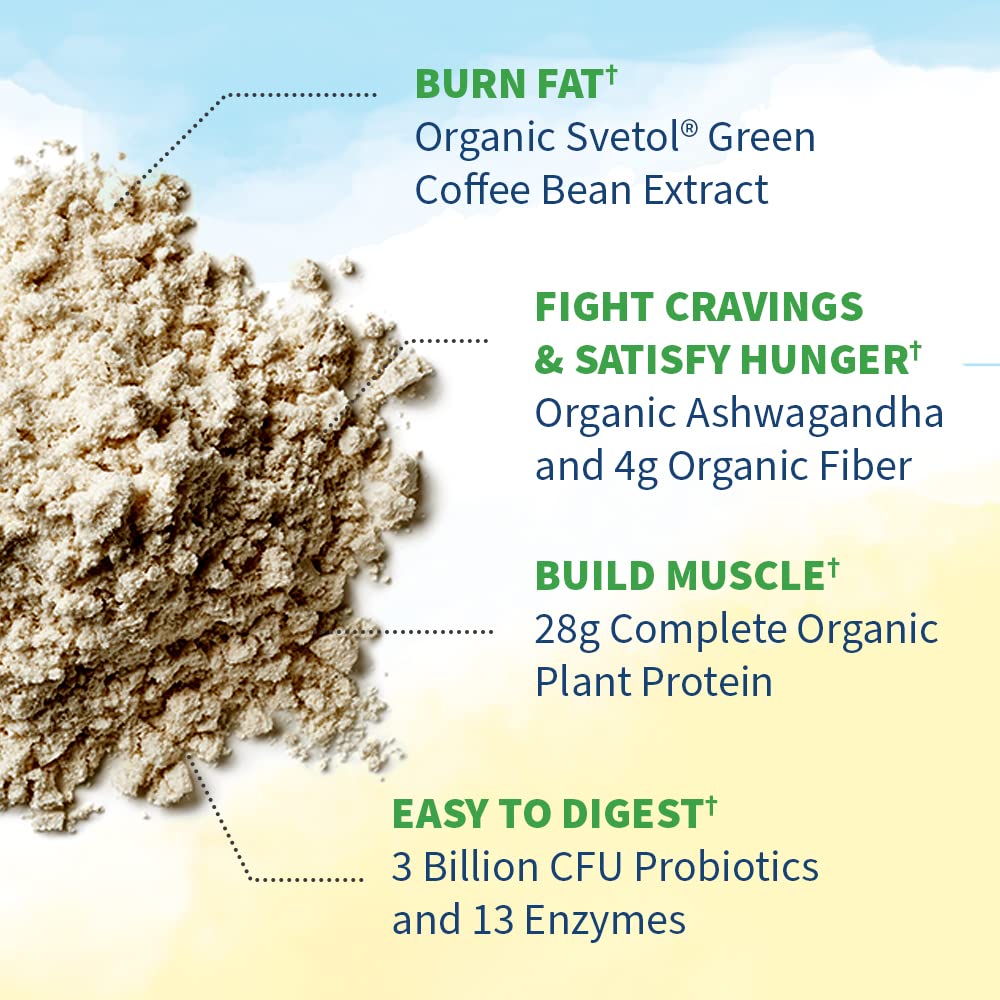Garden of Life Raw Organic Fit Original Flavor Vegan Protein Powder, 1.96 lb