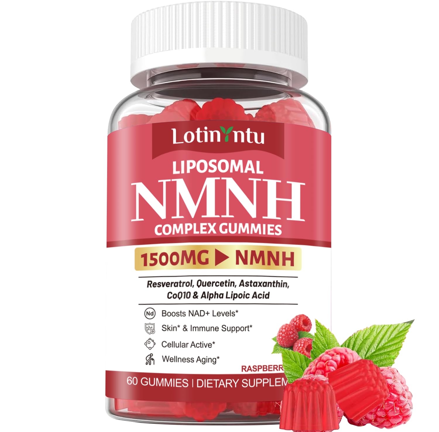 LotinYntu 1500mg Liposomal NMN NMNH Gummies – NAD+ Support with Nicotinamide Riboside & Quercetin, 60 Gummies