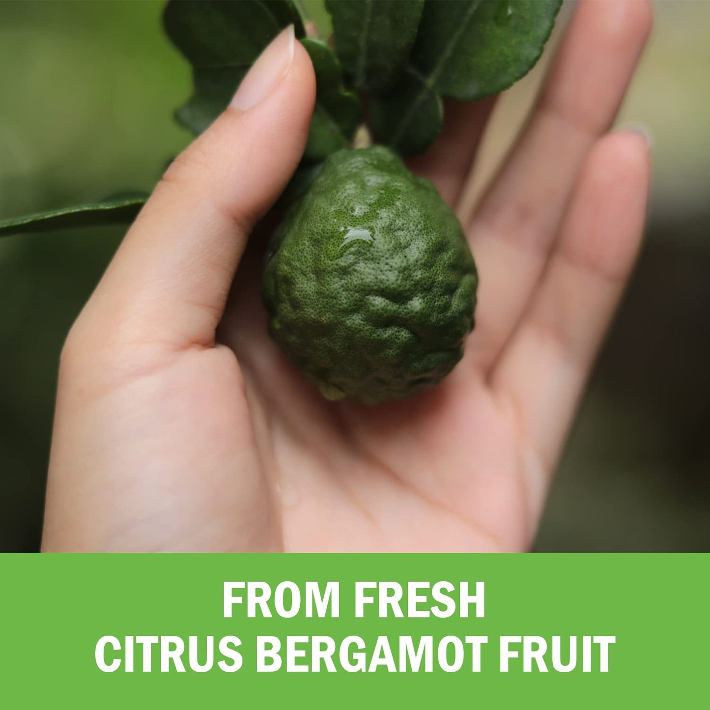BioSchwartz Citrus Bergamot 1000mg Capsule, 120 Count