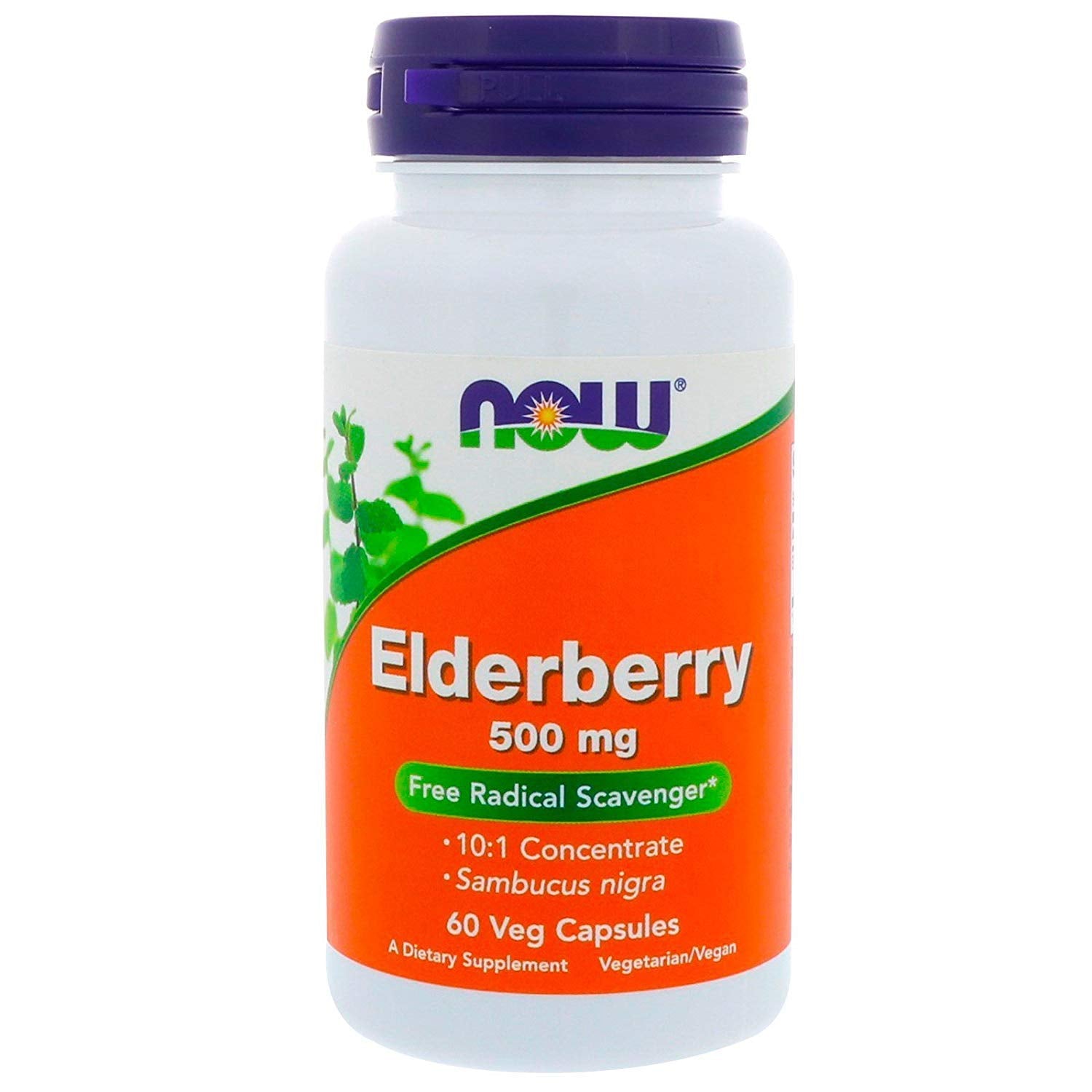 NOW Foods Elderberry Extract 500 mg Capsule, 1 Count