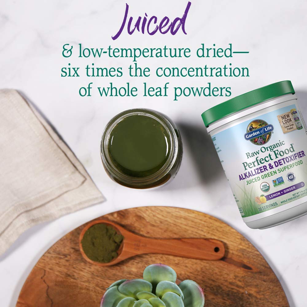 Garden of Life Vegan Green Superfood Powder - Raw Organic Perfect Whole Food Alkalizer & Detoxifier, 10 oz