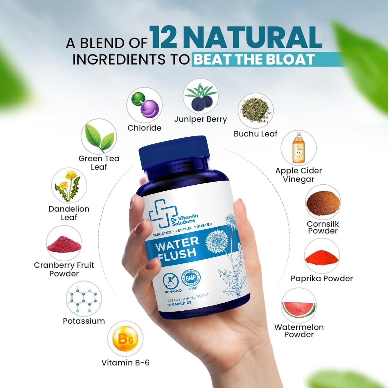 DR VITAMIN SOLUTIONS Diuretic Water Pills Capsule 50 Count