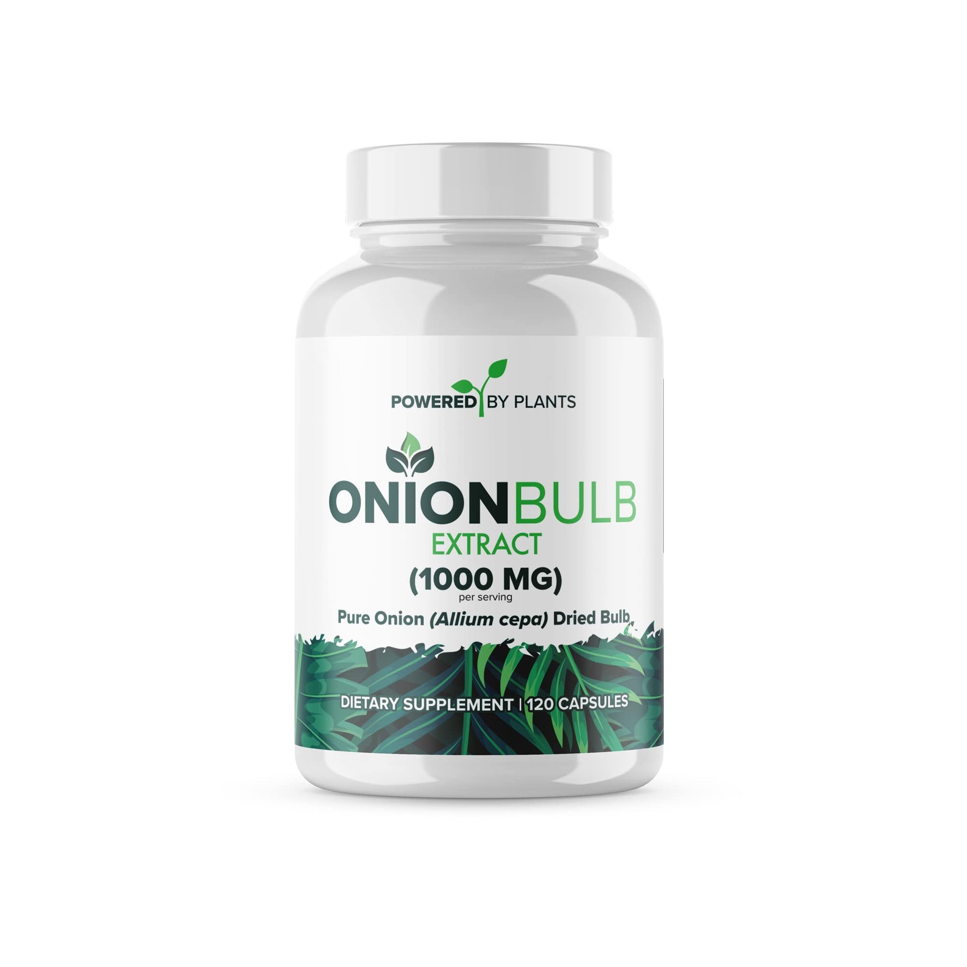 POWERED X PLANTS Onion Bulb Extract 1000mg Capsule, 120 Count
