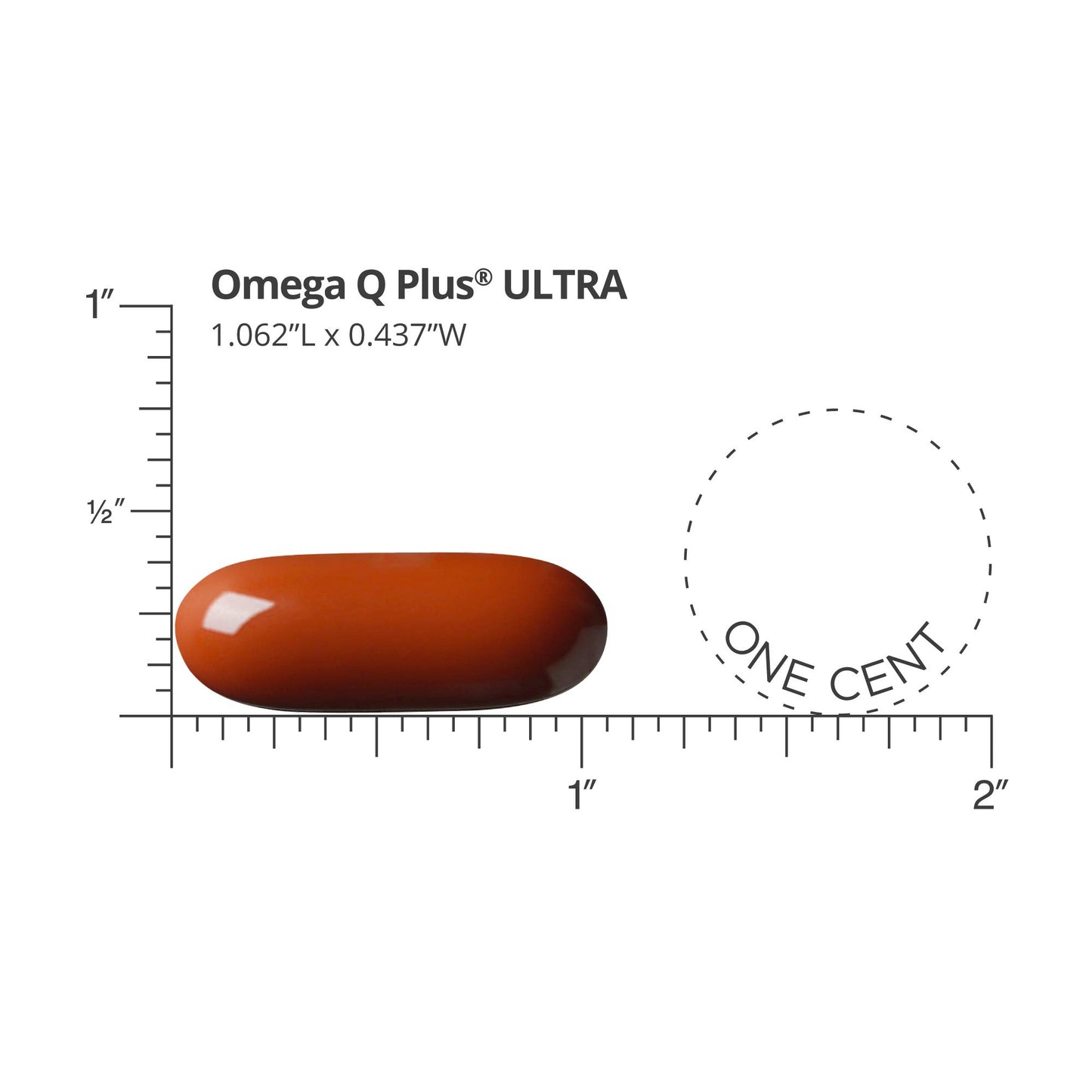 Dr. Sinatra Omega Q Plus Ultra with Resveratrol for Heart & Healthy Aging 60 Softgels