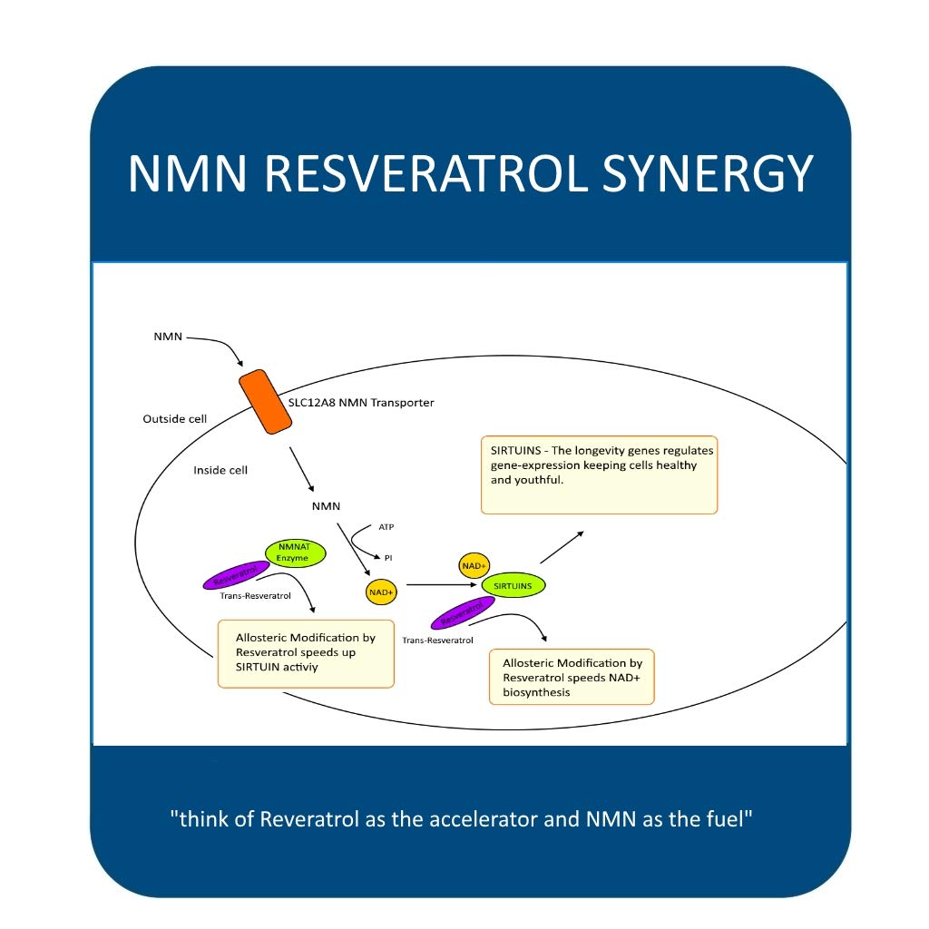 MAAC10 NMN Resveratrol NAD+ Combo Pack Capsules 1 Count