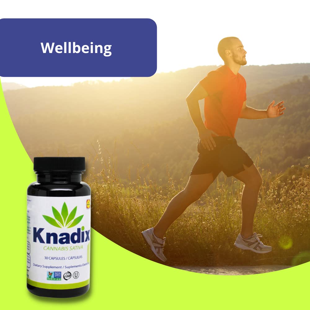 Knadix Hemp Oil Supplement Capsule, 1 Count
