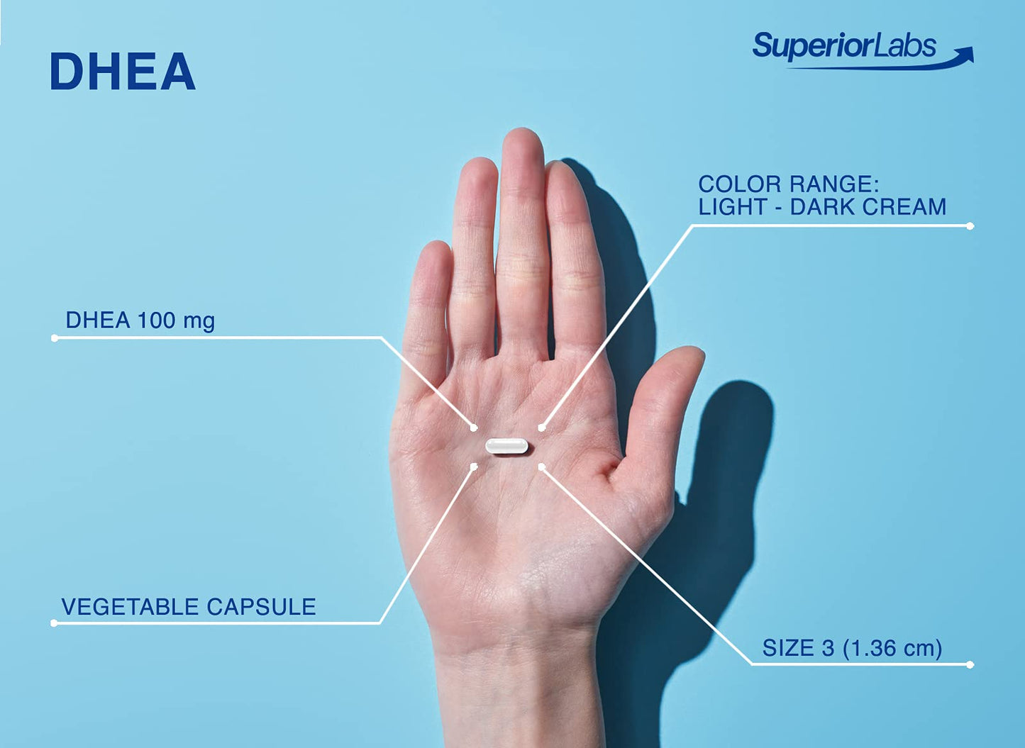 Superior Labs Extra Strength Natural DHEA 100 mg Capsule, 60 Capsules