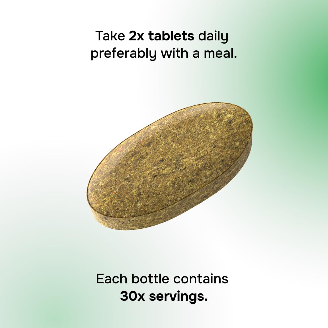 envitamin Green Fuel Organic Greens Tablets 60 Count