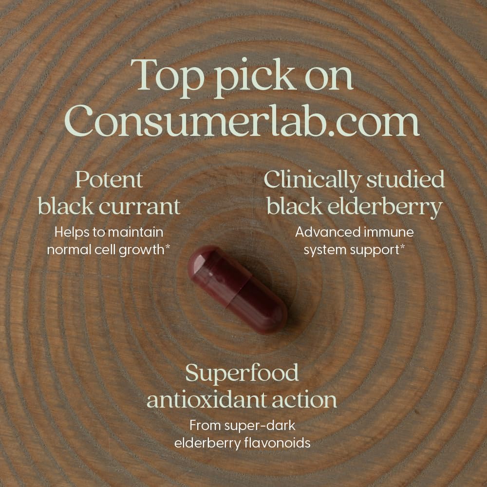 New Chapter Vegan Elderberry Capsules with 64x Concentrated Black Elderberry + Black Currant for Comprehensive Immune Support, 30 Count Capsules