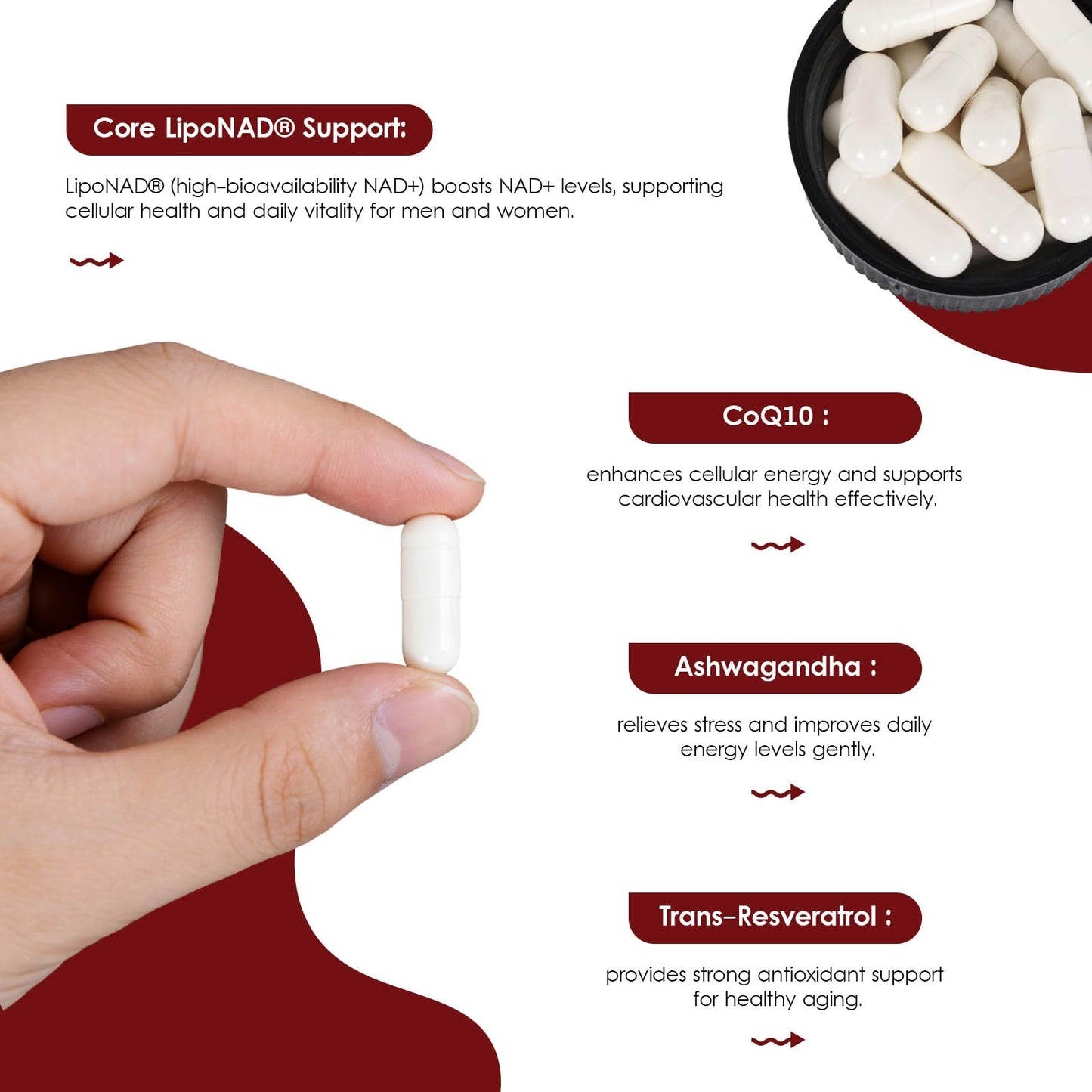 SHIYIFANG LipoNAD+ 600mg Complex with CoQ10 250mg, Trans Resveratrol 200mg, Ashwagandha 100mg, 120 Capsules