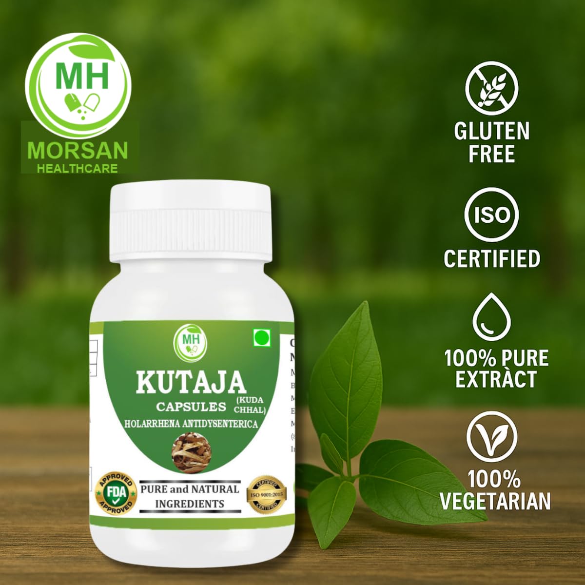 Morsan Healthcare Kutaja Capsules 500 mg (9:1 Extract) – Holarrhena Antidysenterica for Men & Women, 60 Capsules