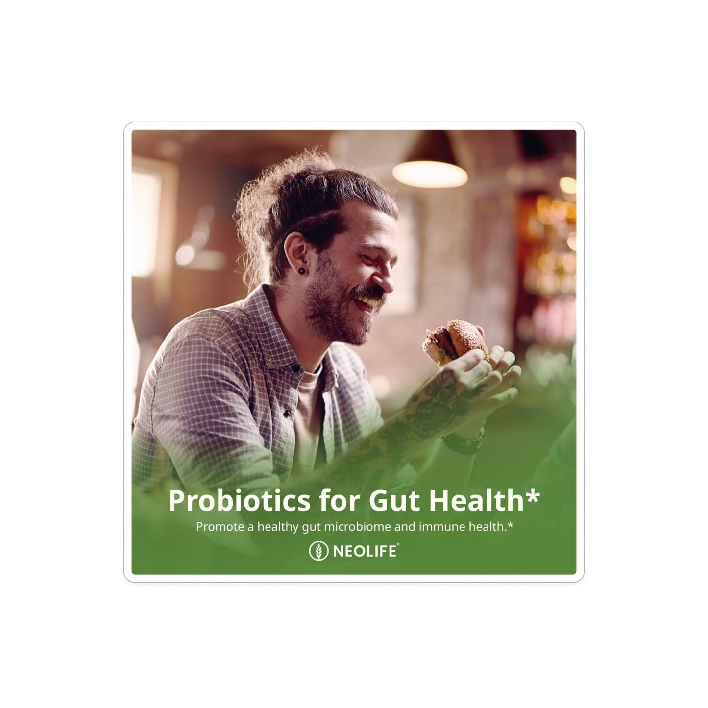 NeoLife Acidophilus Plus Probiotic Softgel 60 Count