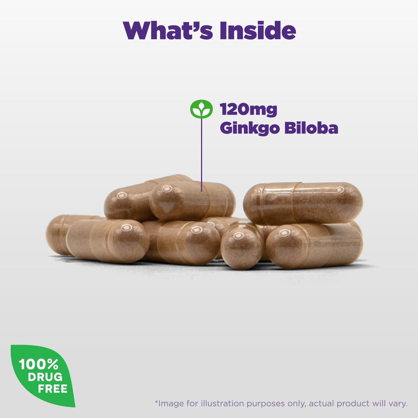 Natrol Ginkgo Biloba 120mg Capsules, 60 Count