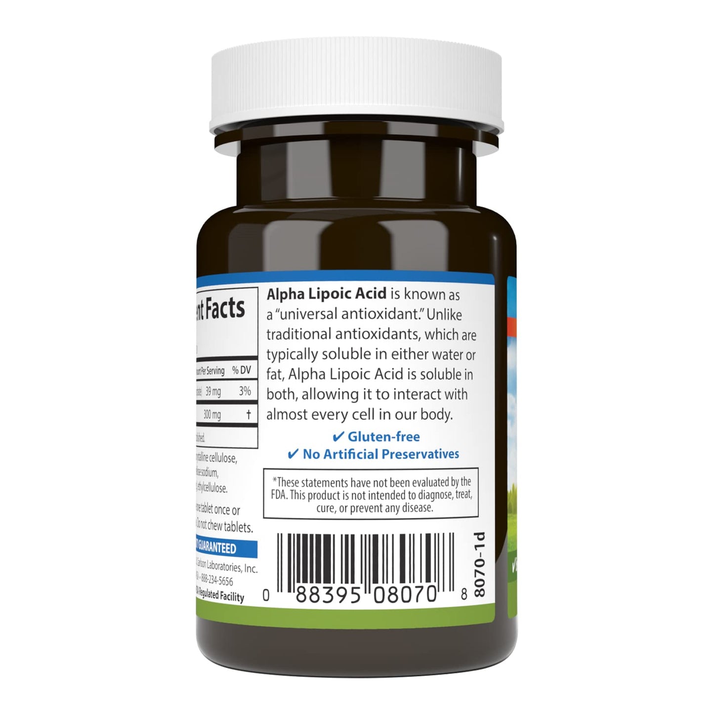 Carlson Alpha Lipoic Acid 300 mg Tablet, 60 Tablets