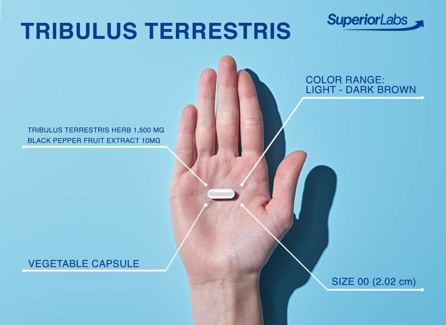 Superior Labs Tribulus Terrestris, 180 Capsules