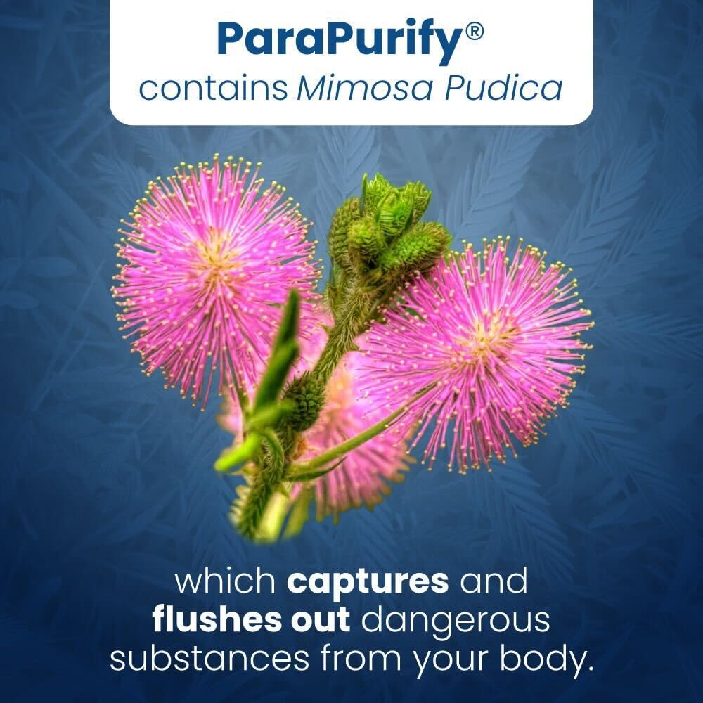 Well of Life ParaPurify Mimosa Pudica Black Walnut Supplement Capsule 120 Count
