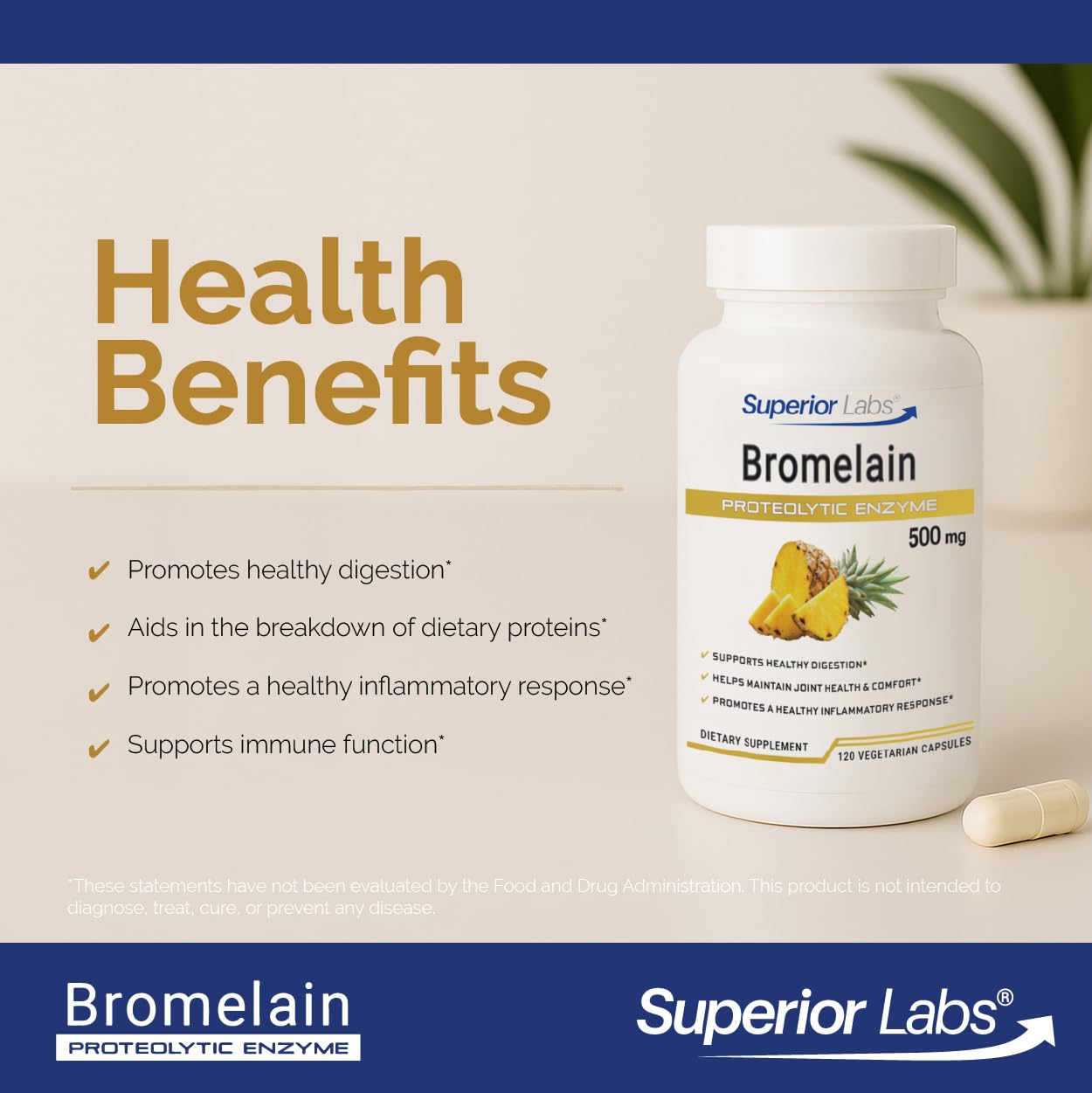 Superior Labs Bromelain 500mg – 2400 GDU/Gram Non-GMO Pineapple Enzyme, Plant-Based Digestive Support, Promotes Joint Comfort & Tissue Health, 120 Veg Caps