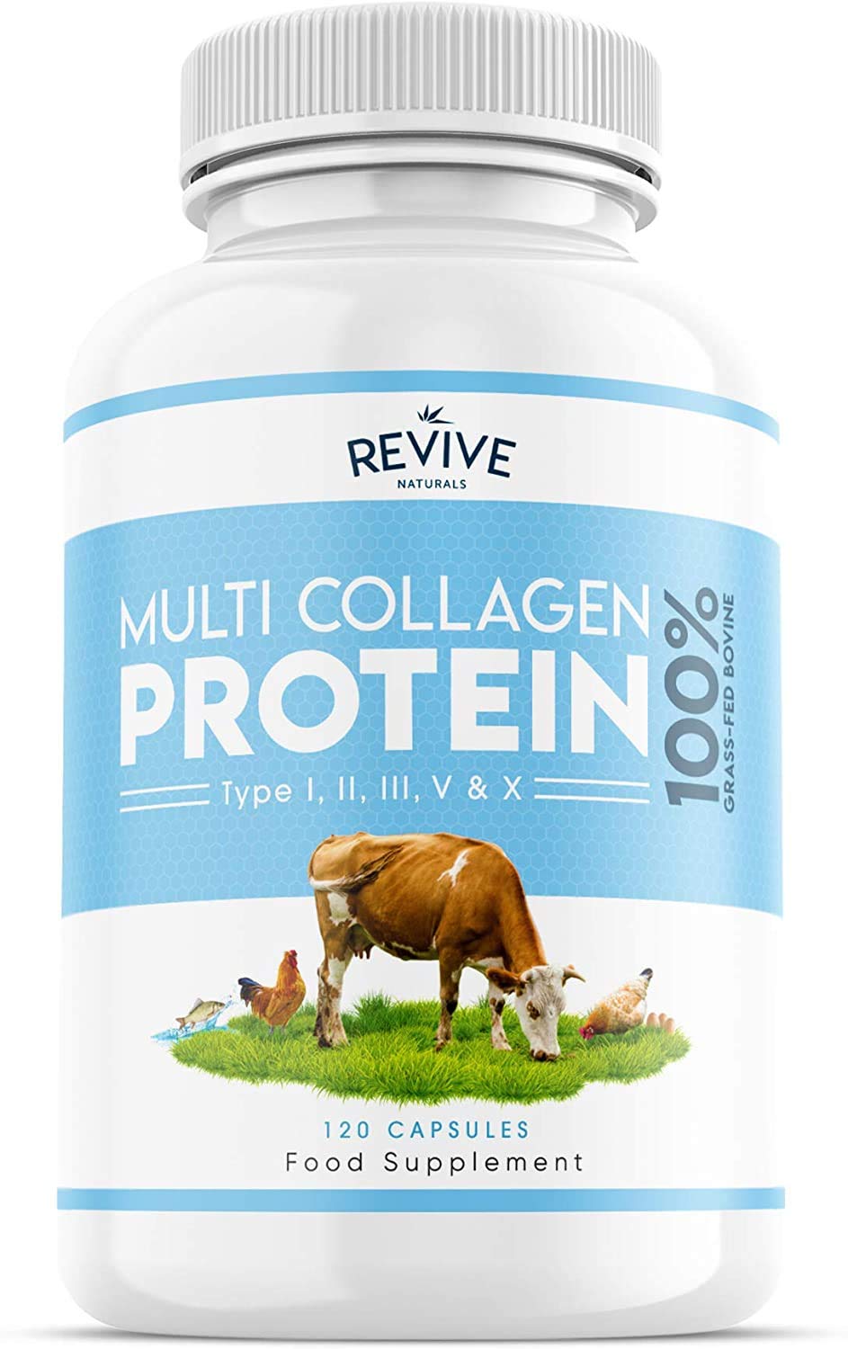 Revive Naturals Multi Collagen Protein Powder, 120